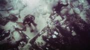 Divers working on the site